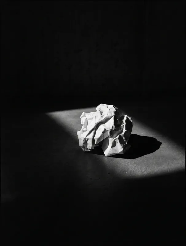 Crumpled Paper Form