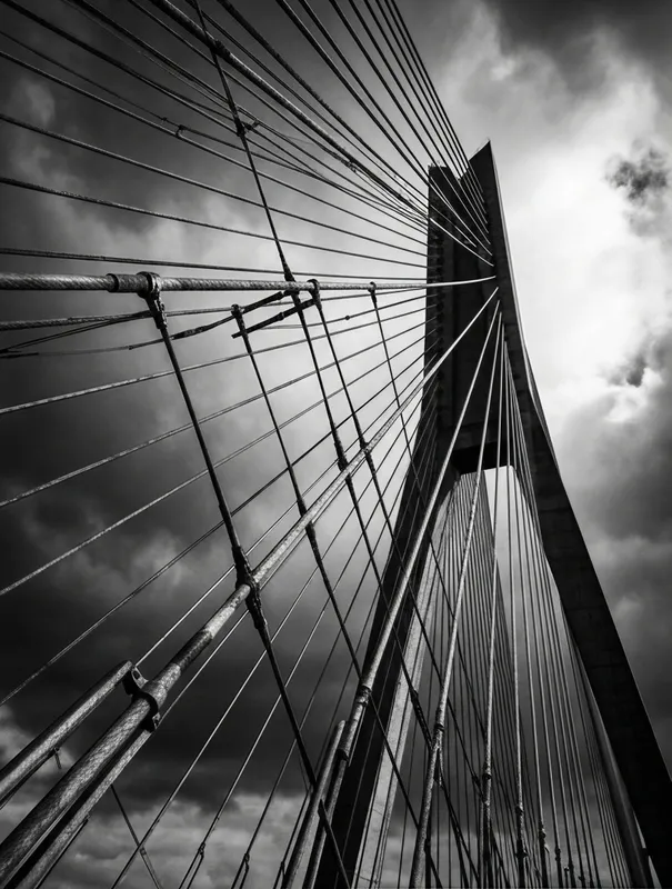 Modern Bridge Cables