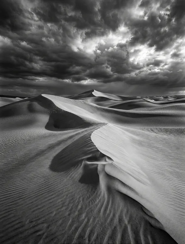 Windswept Sand Dunes