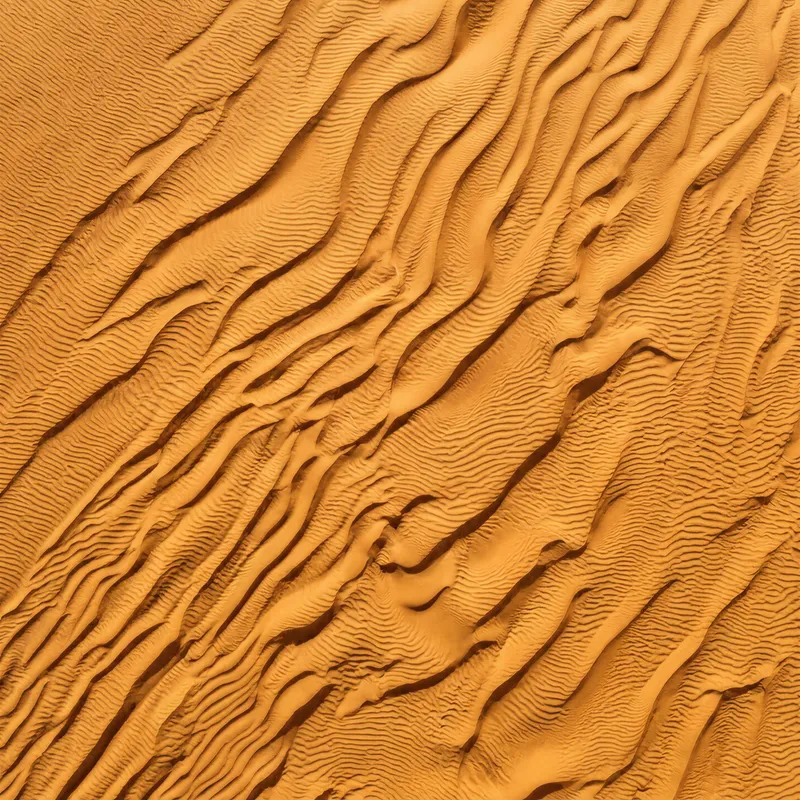 Desert Dune Ridges