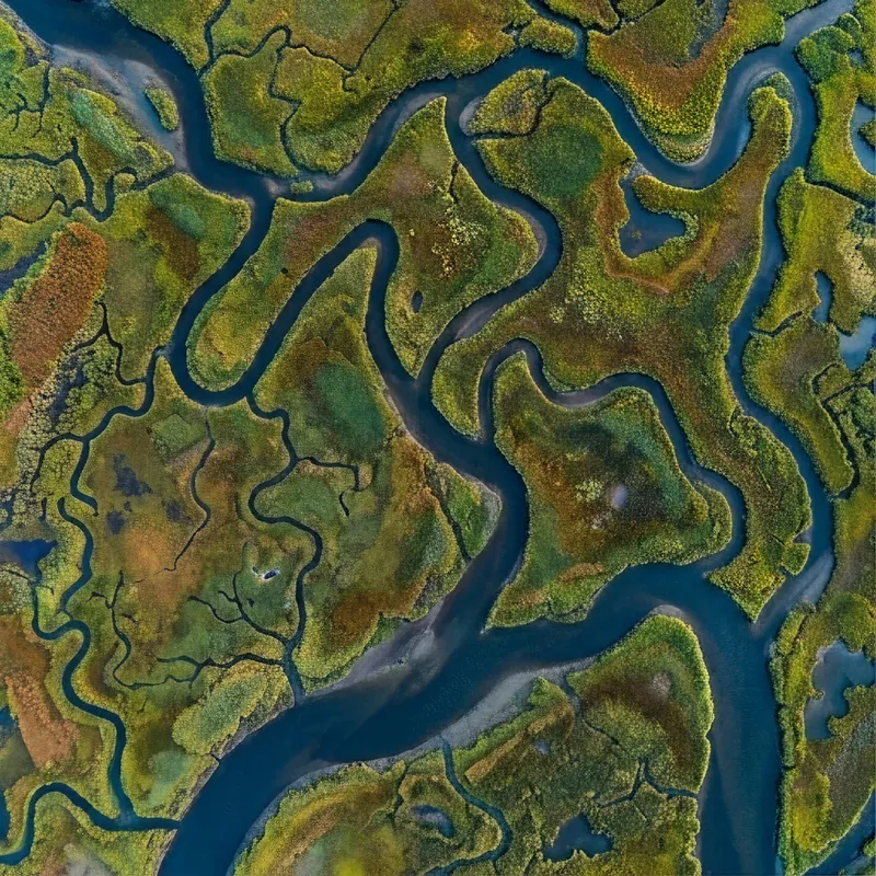 Tidal Marsh Channels