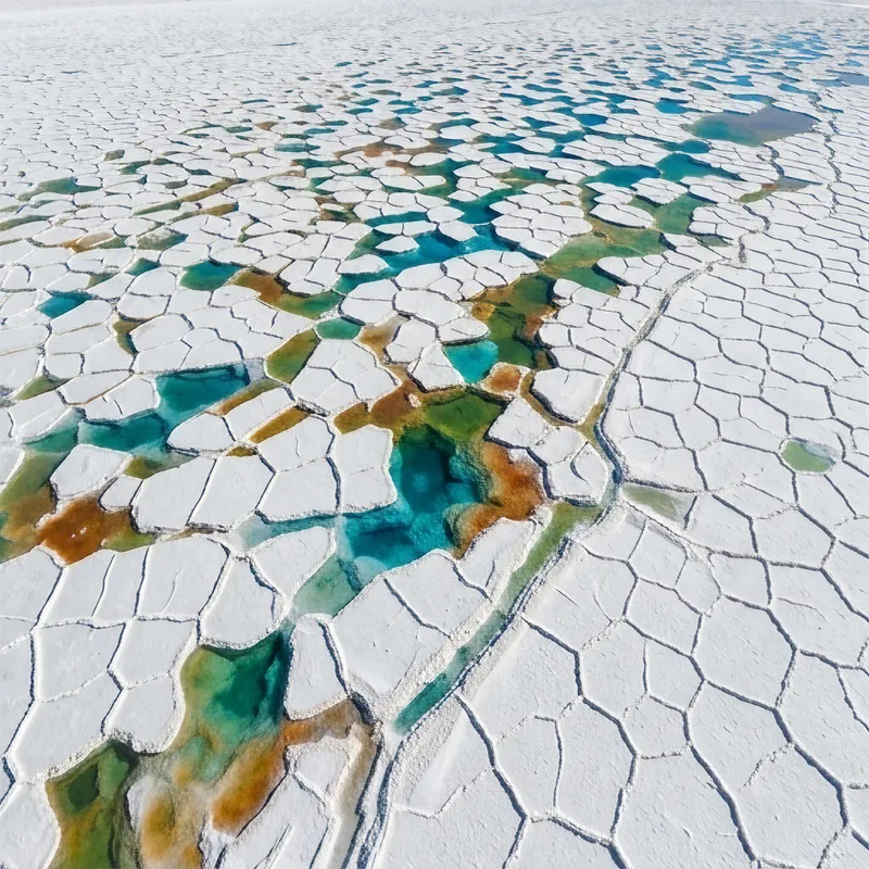 Salt Flat Patterns