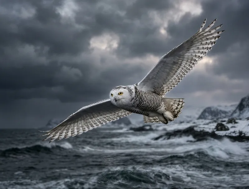 Snowy Owl In Flight